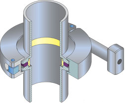 Photo_TechnicalNote_Figure6B.jpg